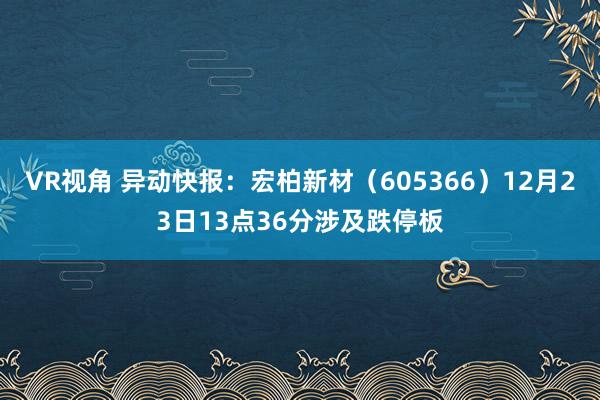 VR视角 异动快报：宏柏新材（605366）12月23日13点36分涉及跌停板