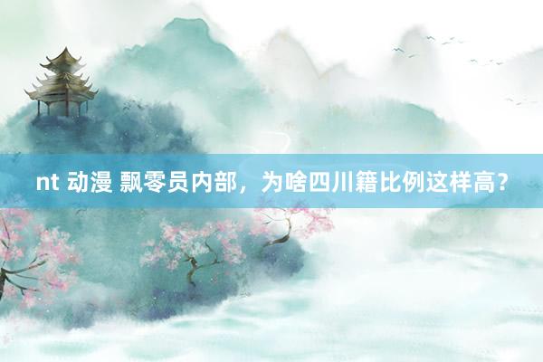 nt 动漫 飘零员内部，为啥四川籍比例这样高？